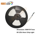 12v neon linh hoạt dải ống dẫn ánh sáng